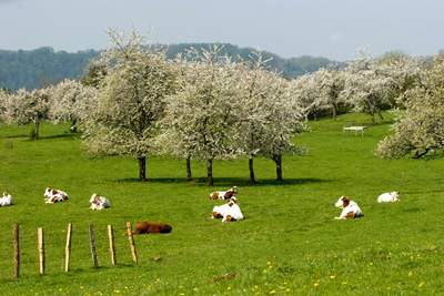 Agrilocal25.fr, soutien du départment